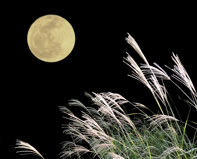 中秋の名月が満月とは限らない？お月見をする十五夜と十三夜とは？