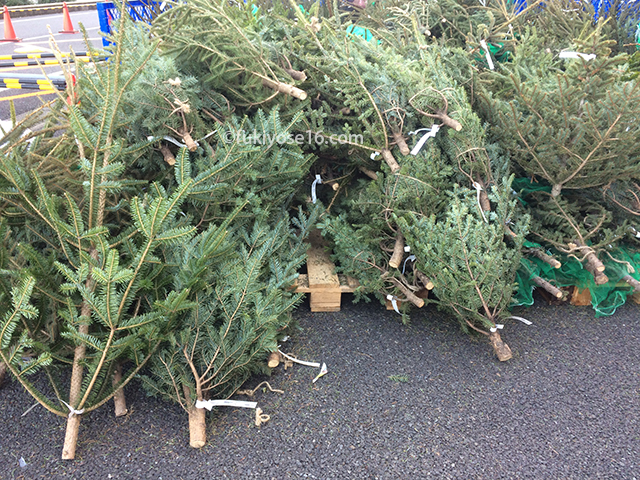 IKEAのクリスマスツリー2018年発売日と値段は？購入と持ち帰りの方法